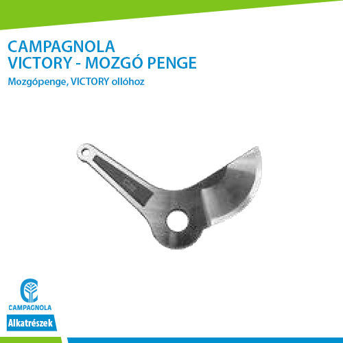Picture of VICTORY - MOZGÓ PENGE
