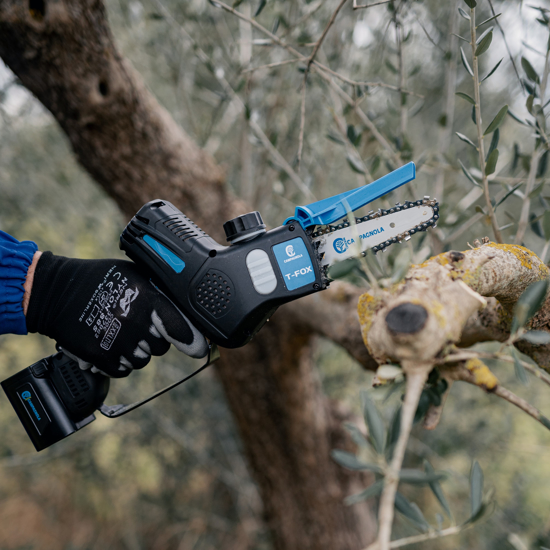Picture of CAMPAGNOLA - T-FOX - Elektromos kompakt láncfűrész készlet - KIFUTÓ TERMÉK (készletzáró akció)