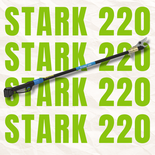 Picture of CAMPAGNOLA - Stark 220 - Elektromos magassági ágvágó készlet